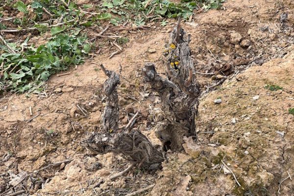 3aa4f964-7ab6-4abd-84f7-99bbf6340550